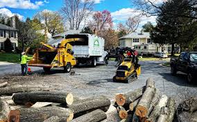 Best Aeration Services  in Delft Colony, CA